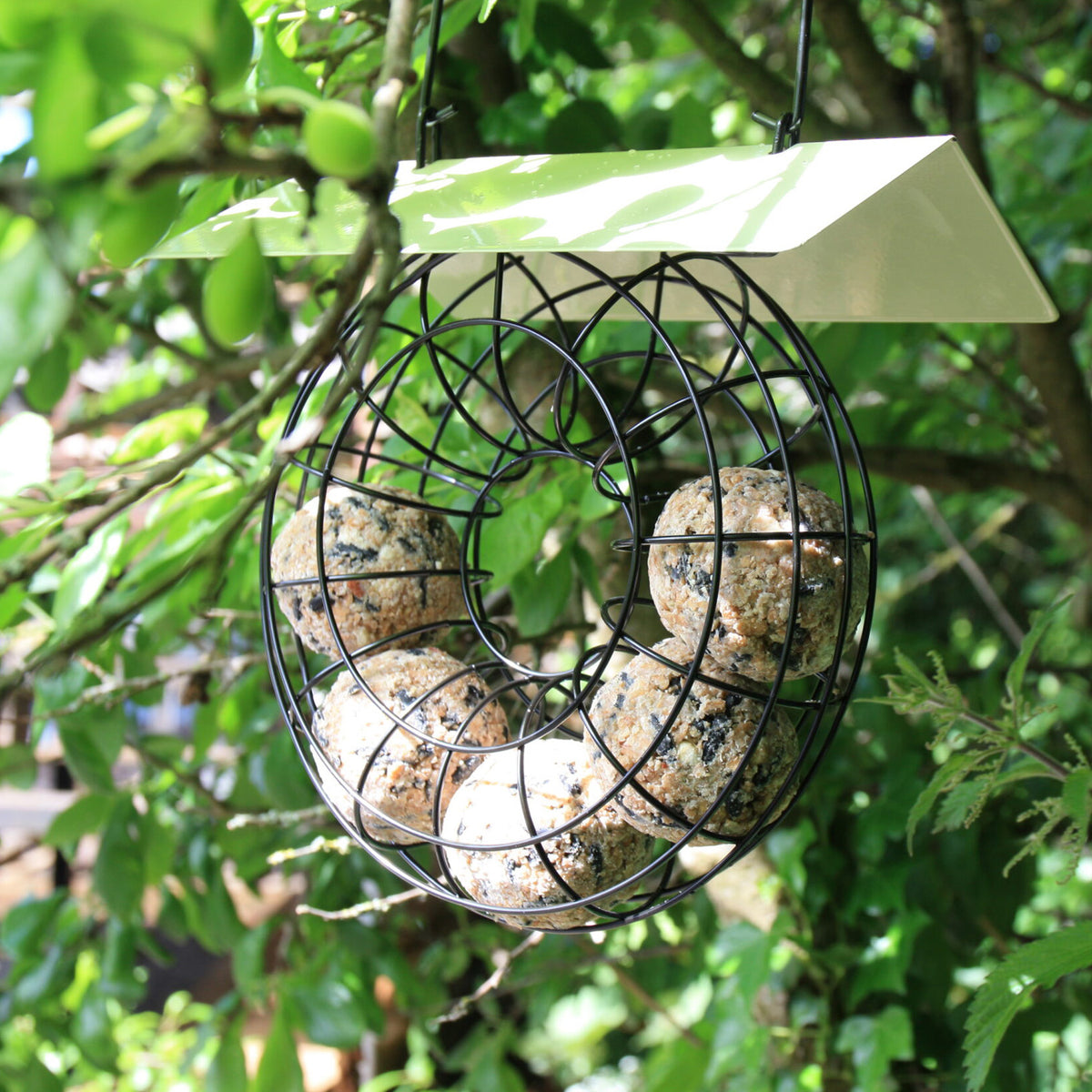 Doughnut Suet Ball Bird Feeder