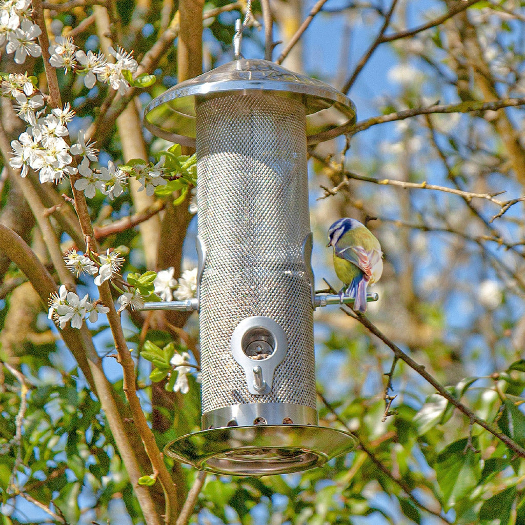 Bird Feeders