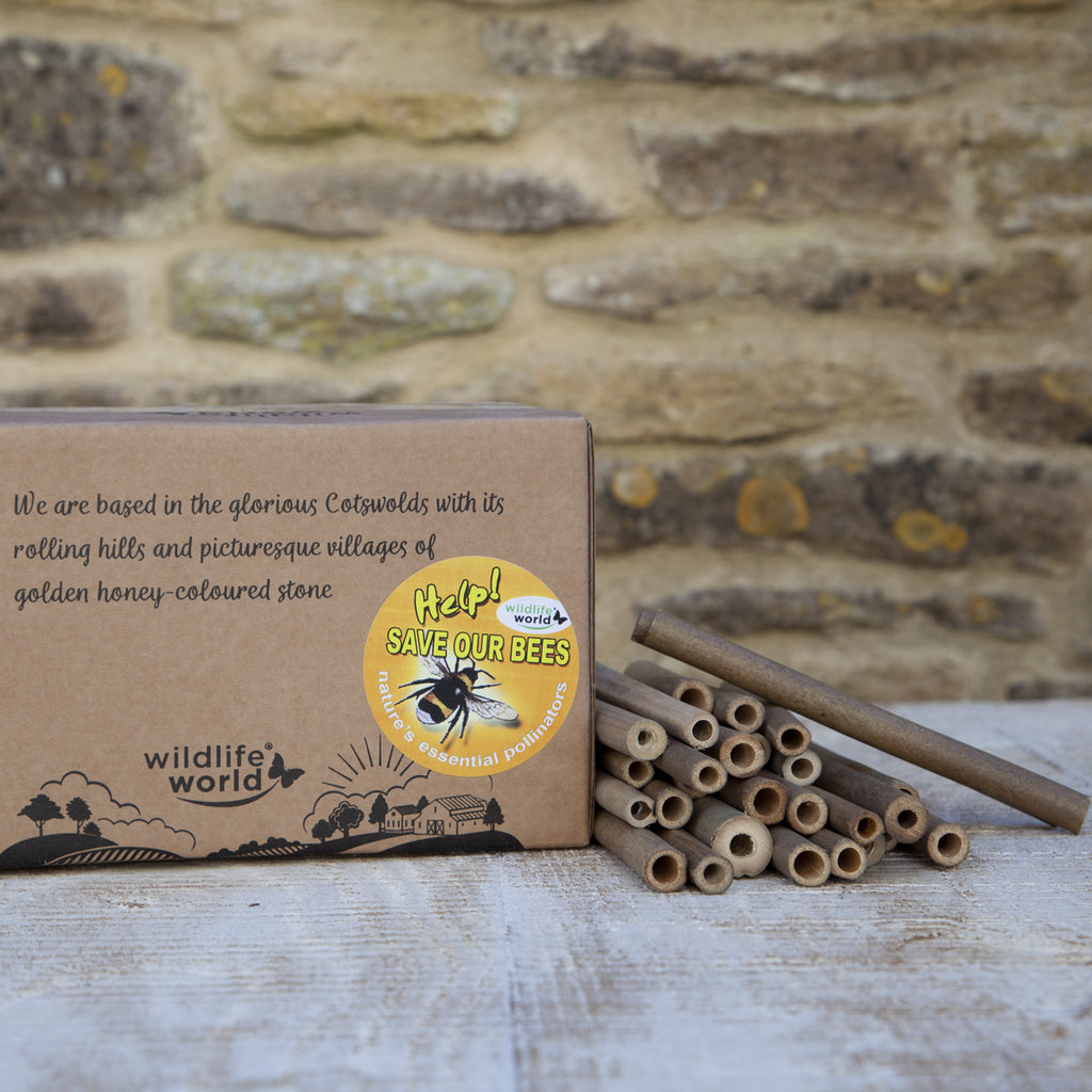 Wildlife World Wooden Nester Bee Tubes