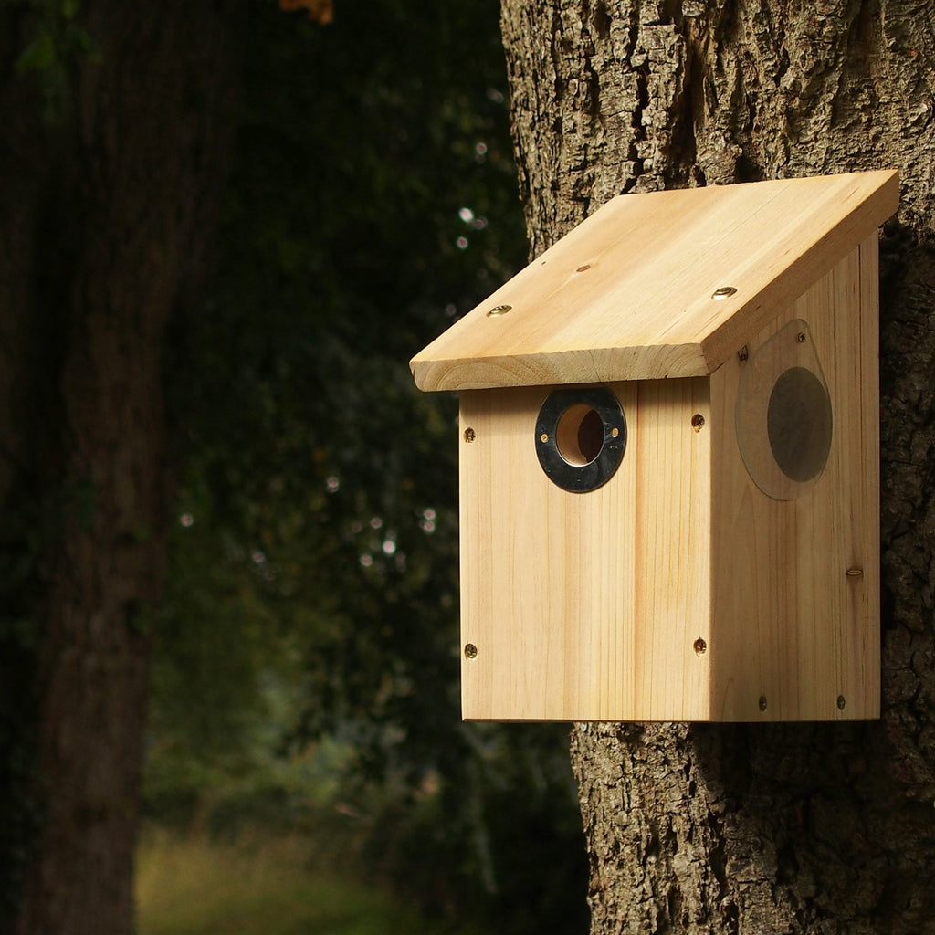 Camera Ready Nest Box