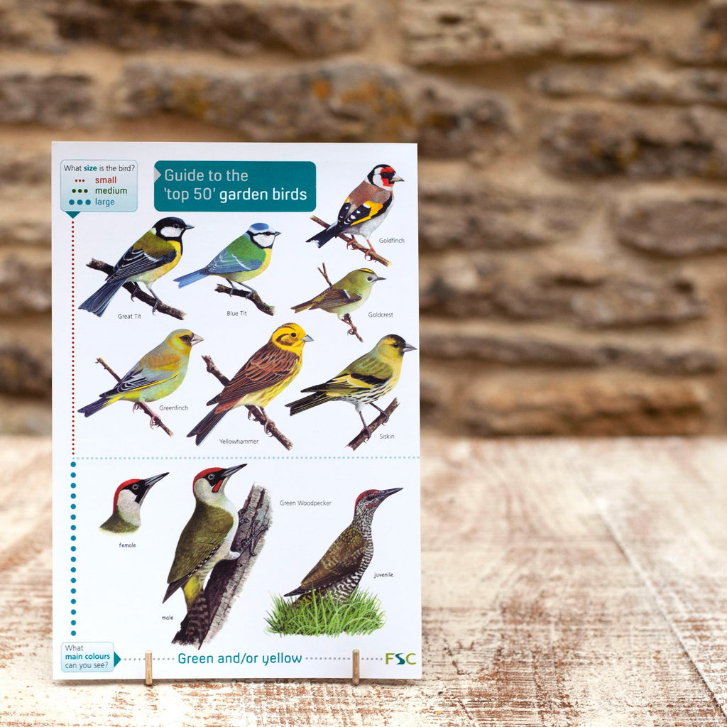 Field Guide Top 50 Garden Birds