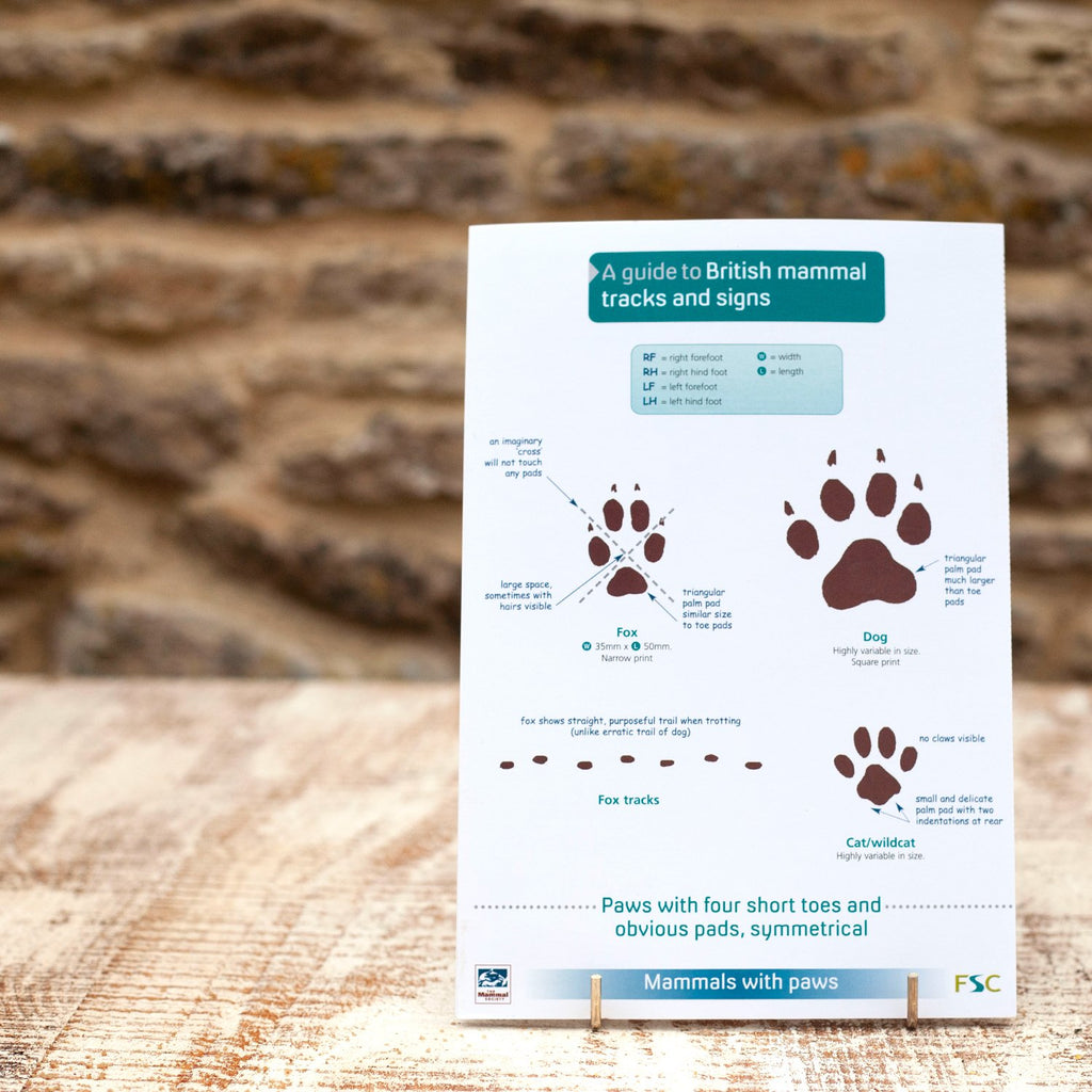 Field Guide Mammal Tracks and Signs