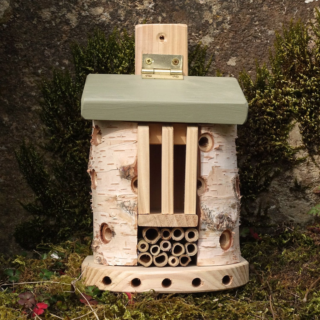 Bug Barn