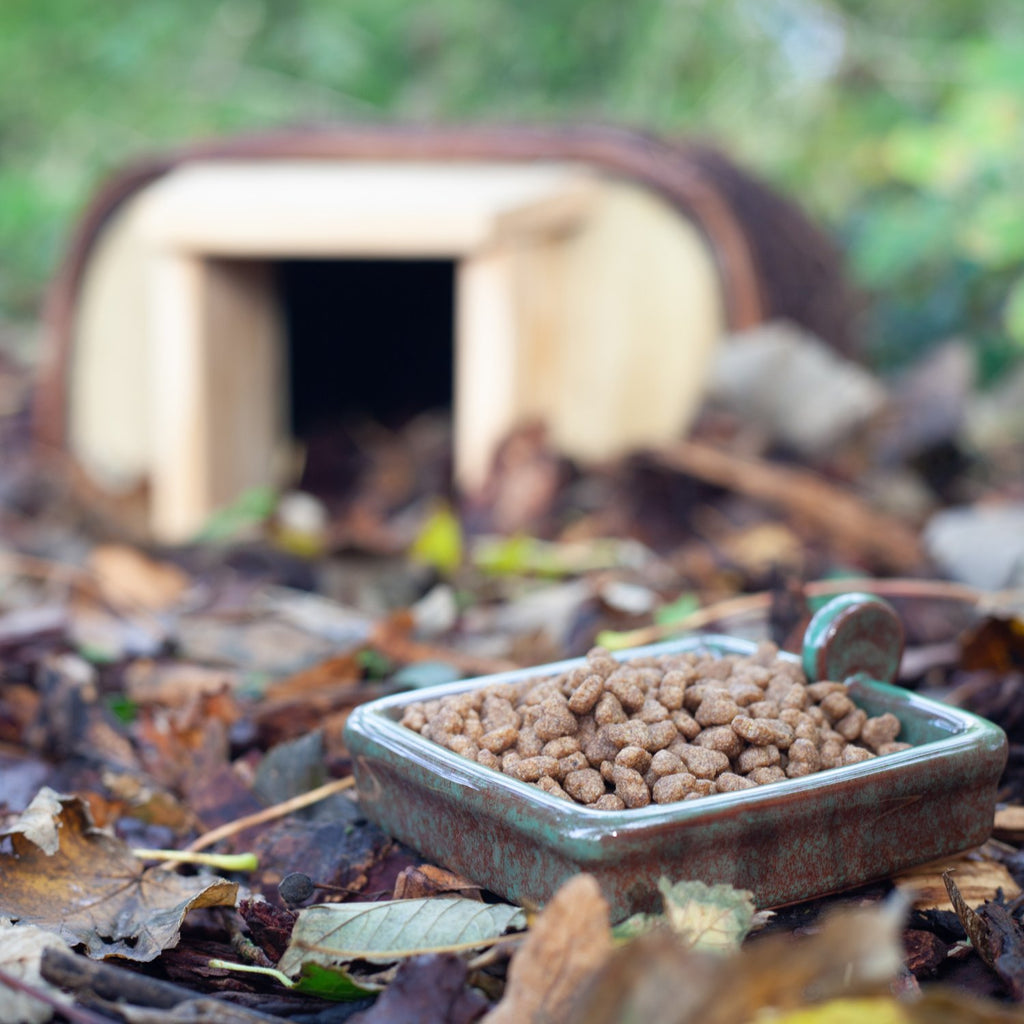 Hedgehog Snack Bowl