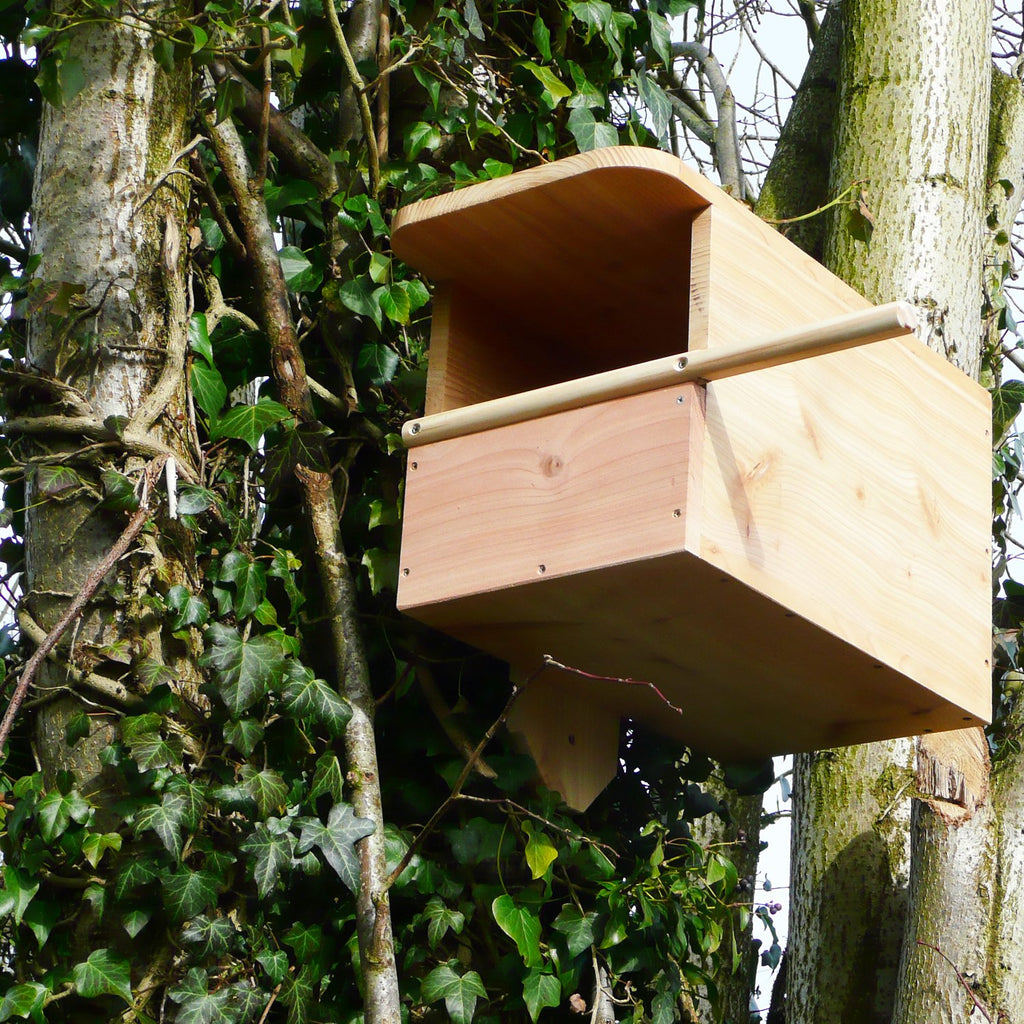 Kestrel Box