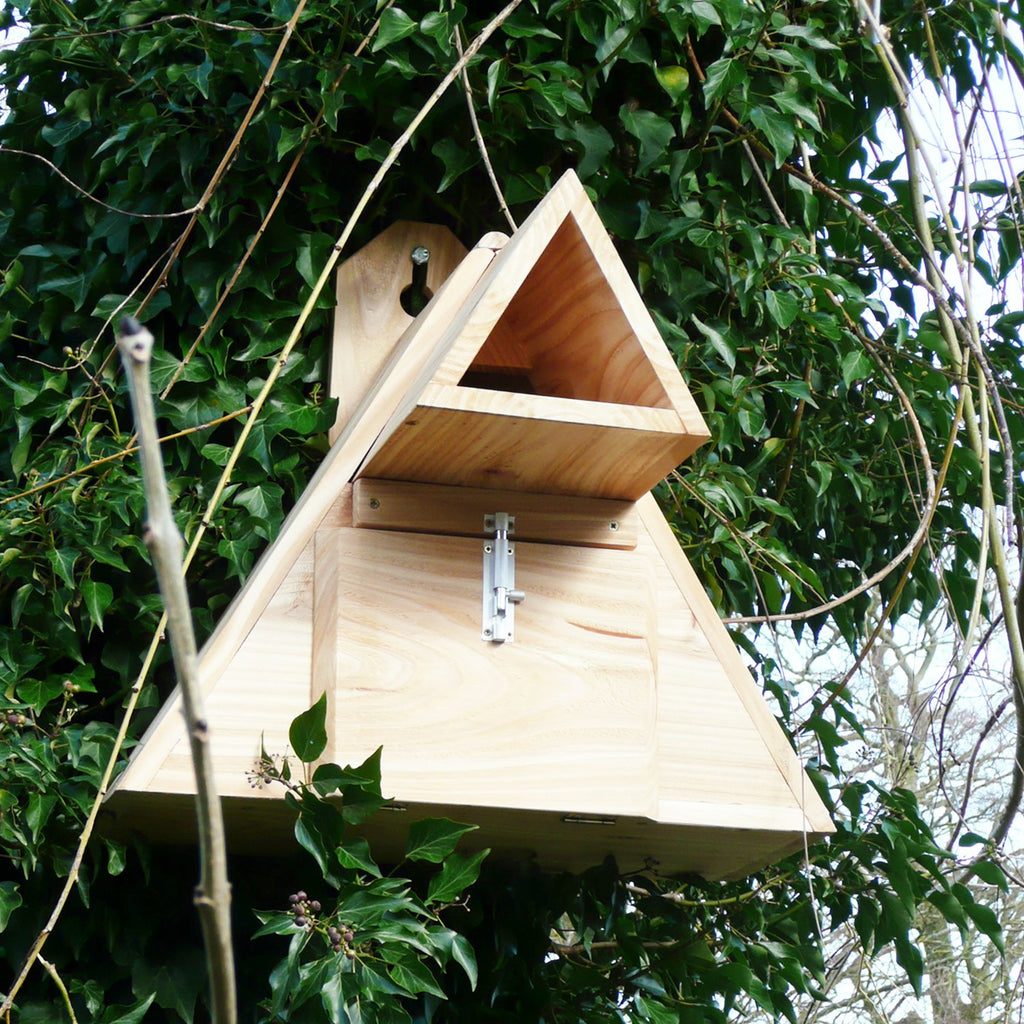Little Owl Nest Box