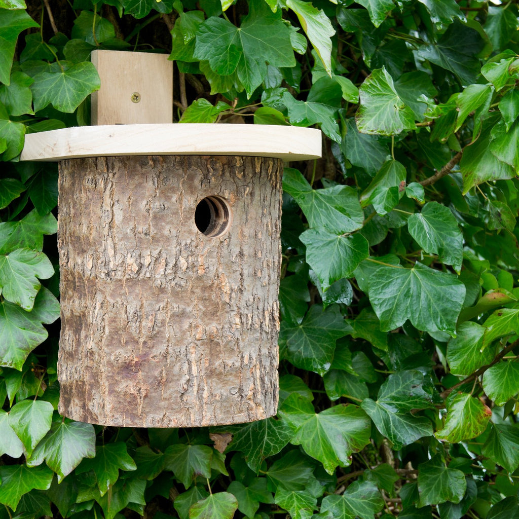 Natural Log Tit Box