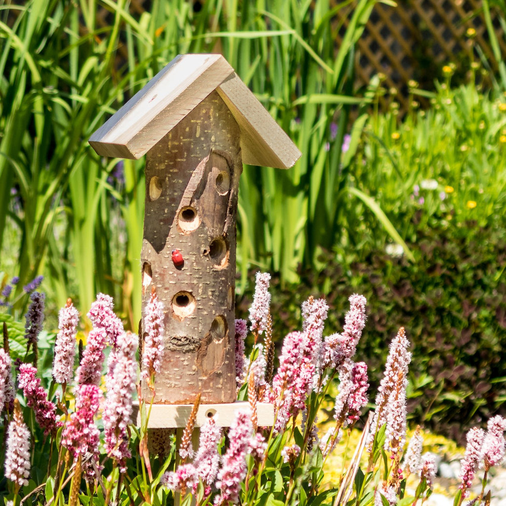 Original Ladybird Tower