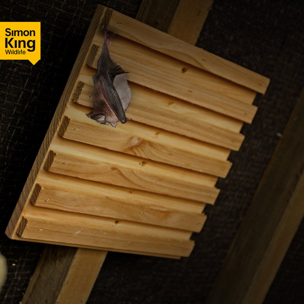 Simon King Bat Rack